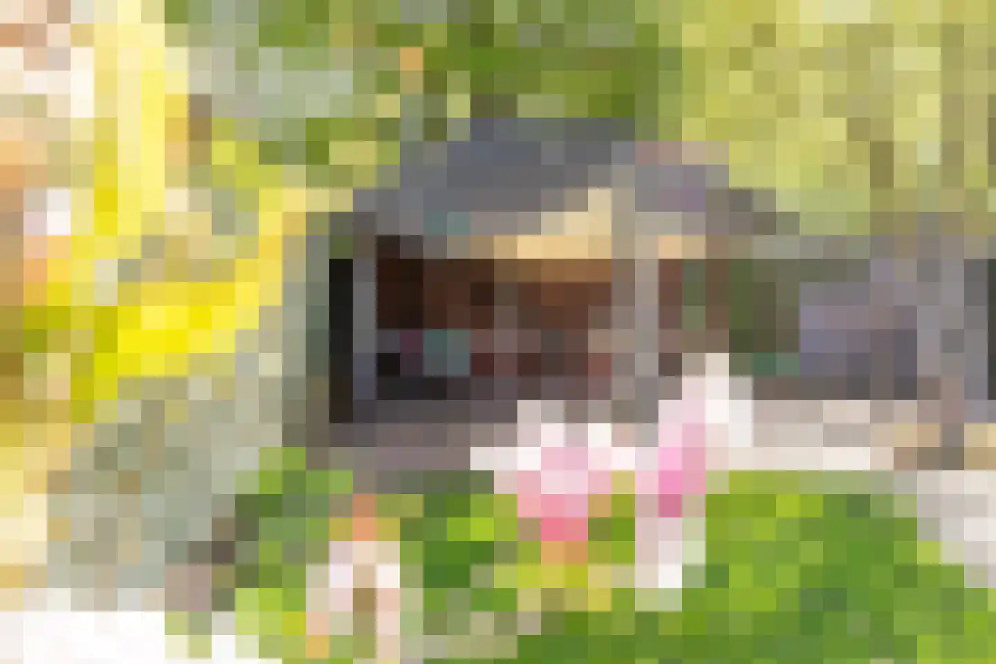 Biesbongerd 2 Kesteren thumbnail 44