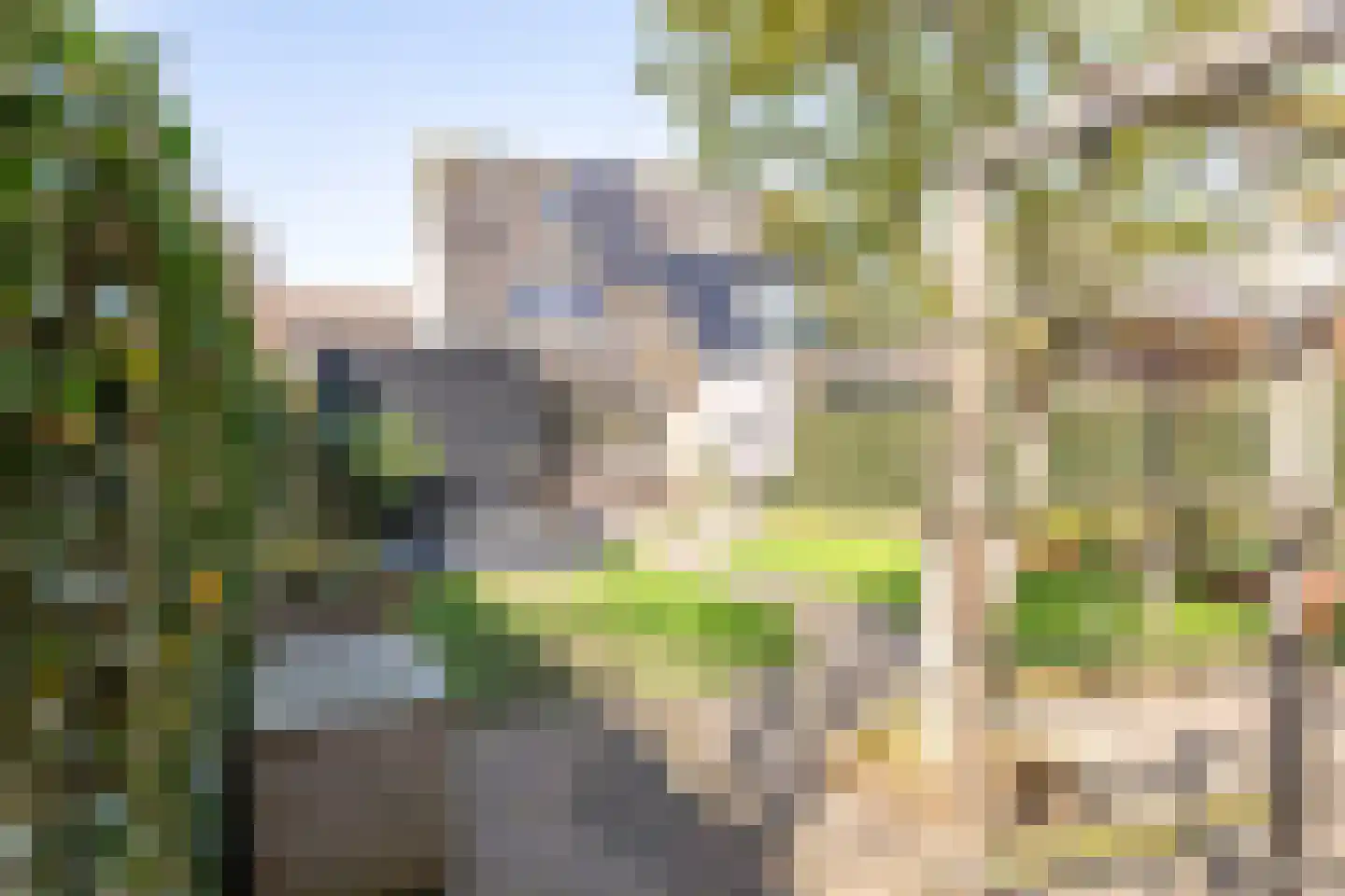 Biesbongerd 2 Kesteren thumbnail 45