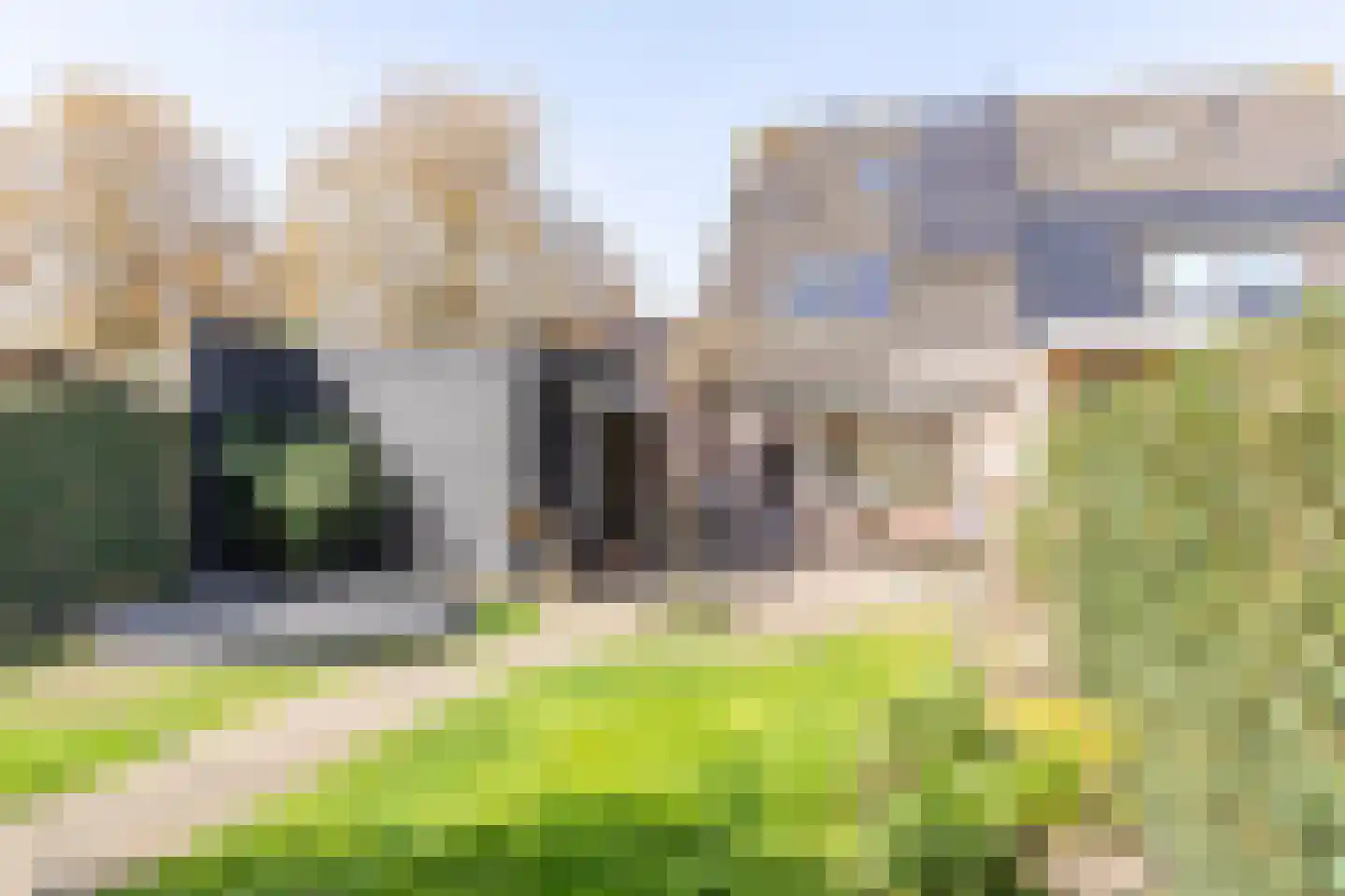 Biesbongerd 2 Kesteren thumbnail 47