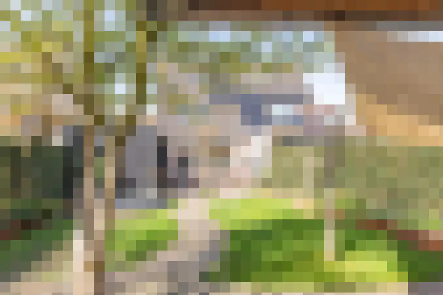 Biesbongerd 2 Kesteren thumbnail 48