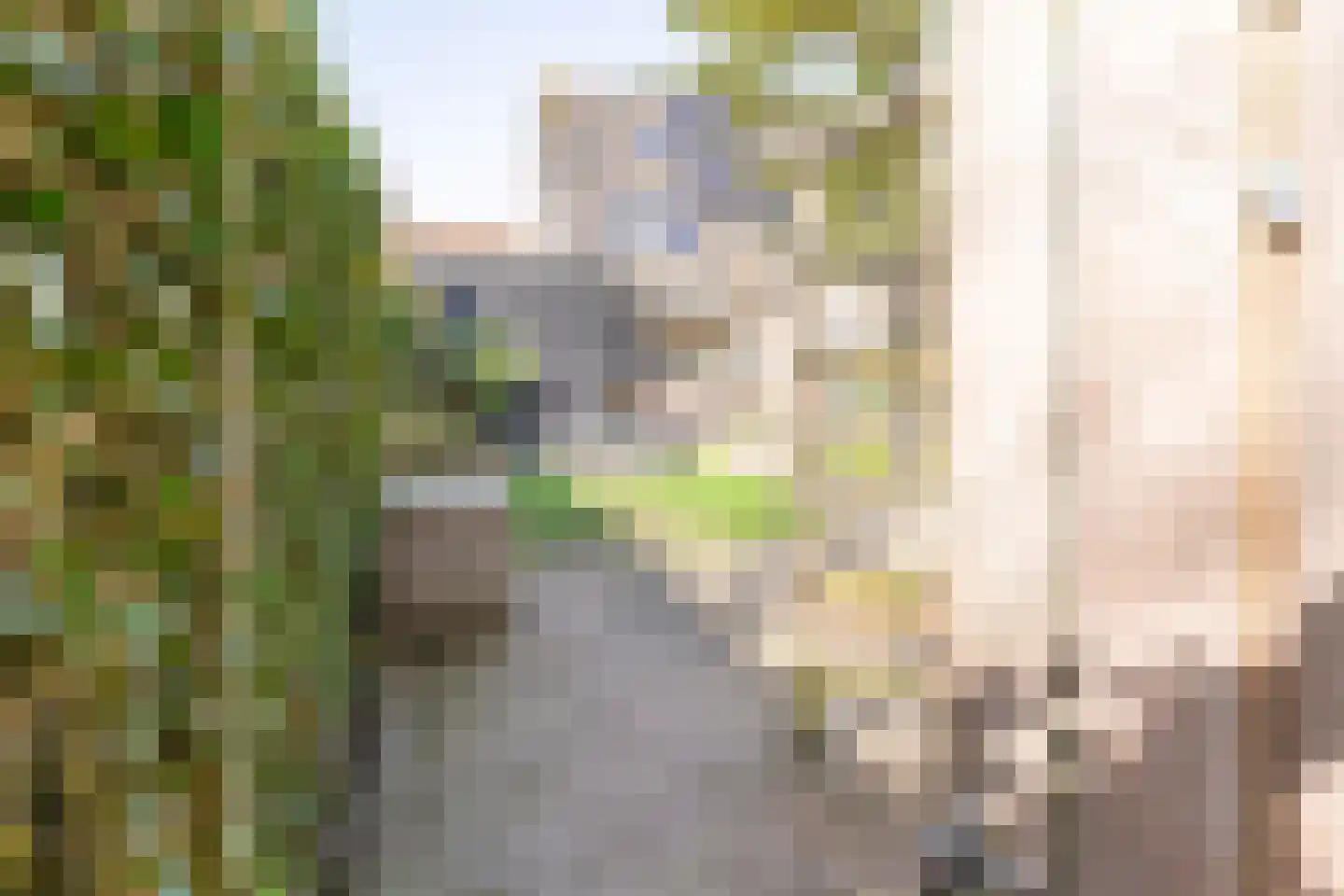 Biesbongerd 2 Kesteren thumbnail 50