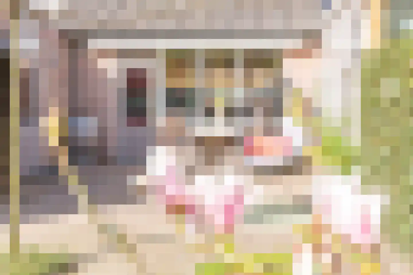 Biesbongerd 2 Kesteren thumbnail 78