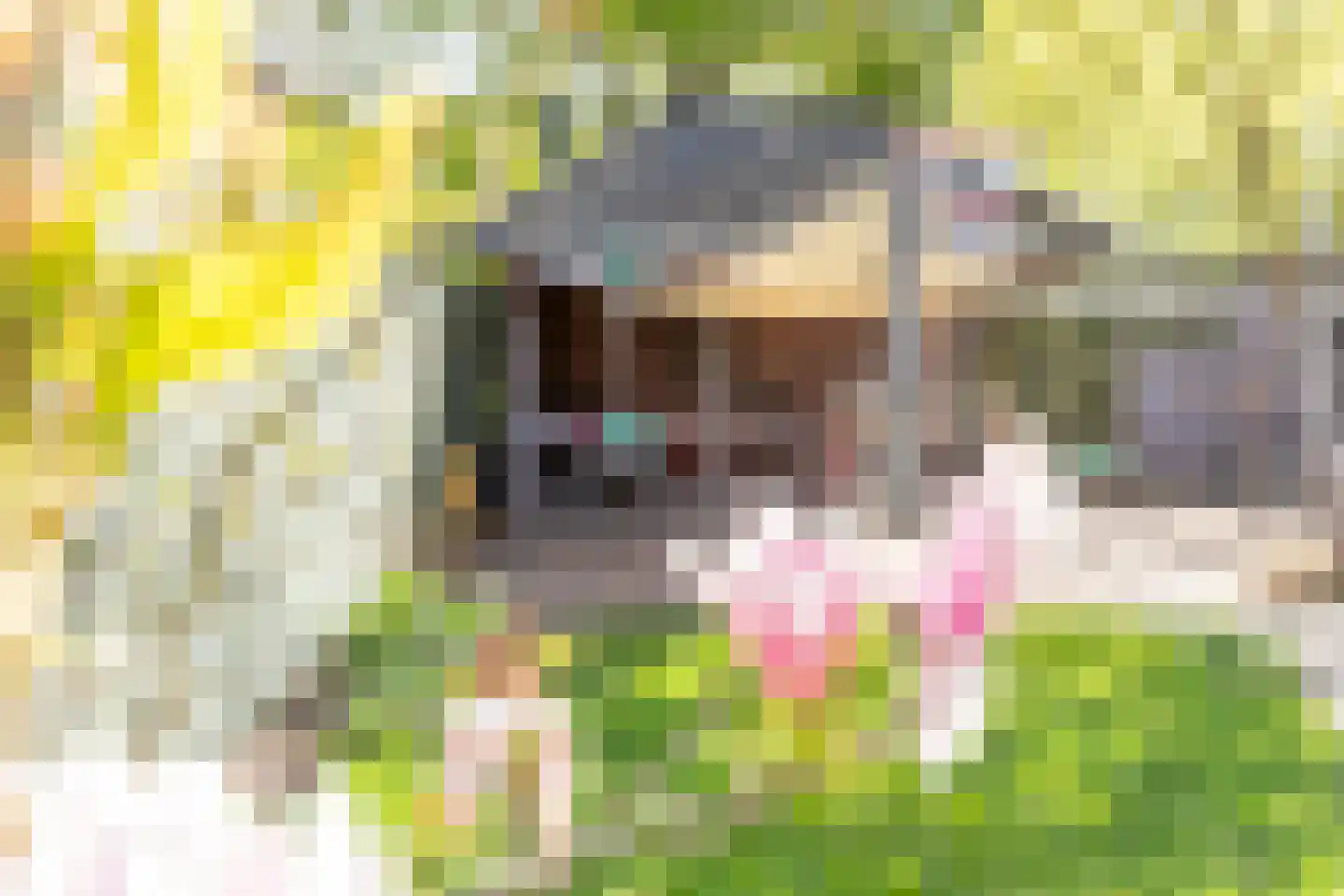 Biesbongerd 2 Kesteren thumbnail 81