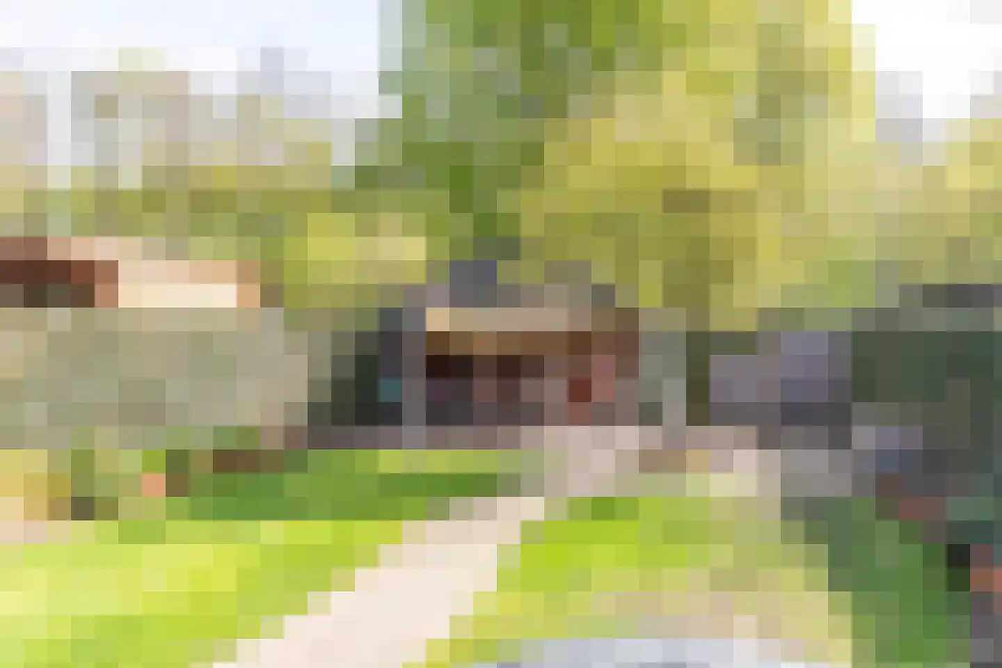 Biesbongerd 2 Kesteren thumbnail 83