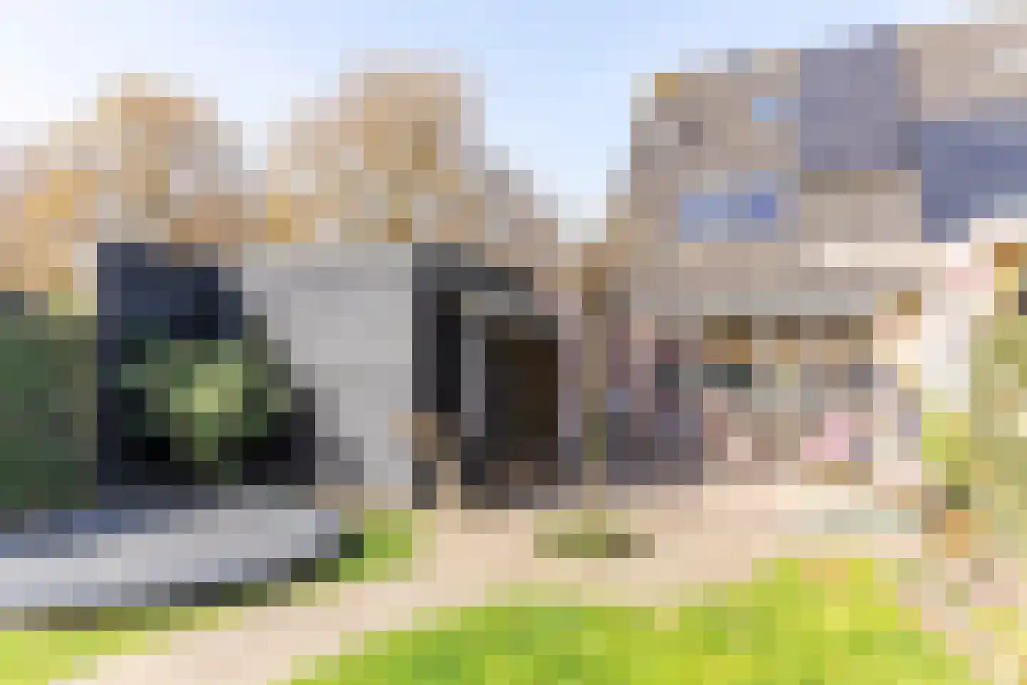 Biesbongerd 2 Kesteren thumbnail 84