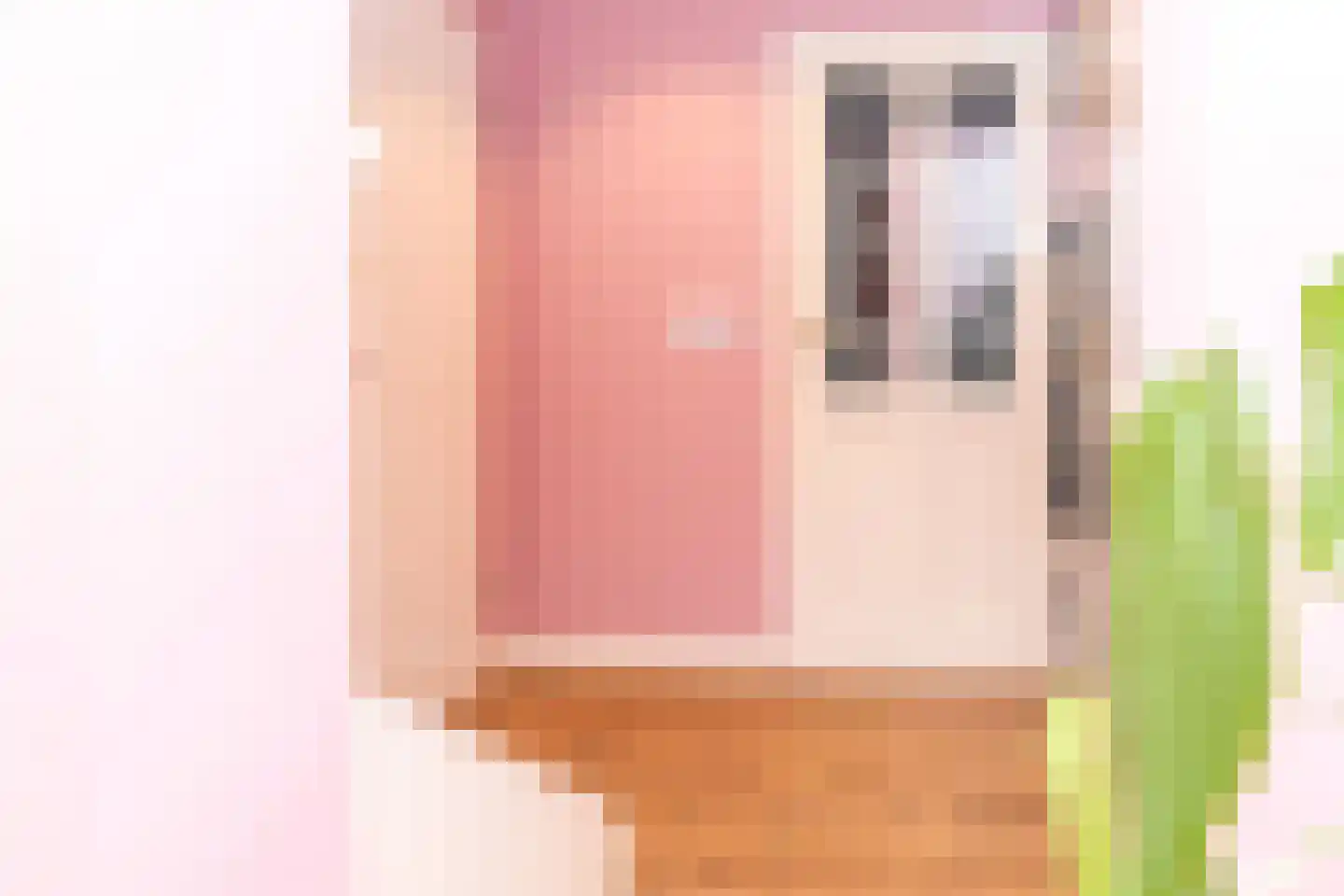 Biesbongerd 2 Kesteren thumbnail 9