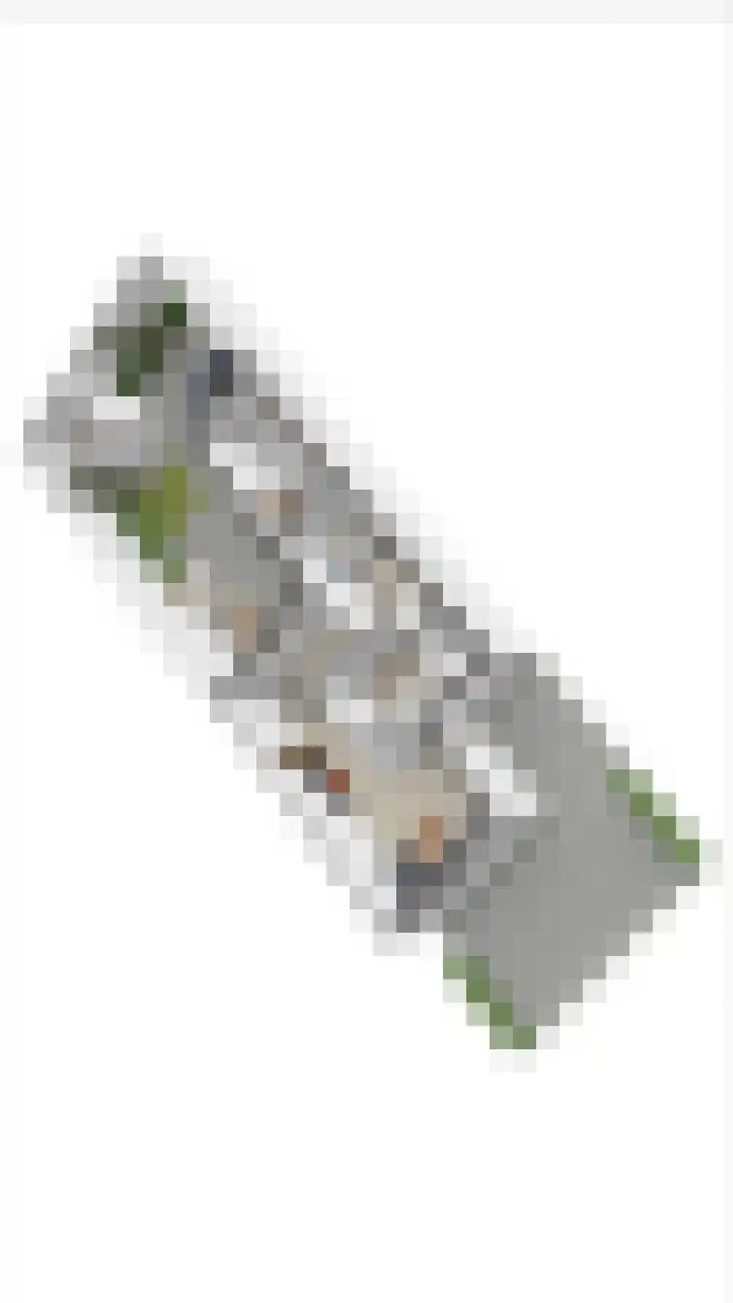 Biesbongerd 2 Kesteren thumbnail 94