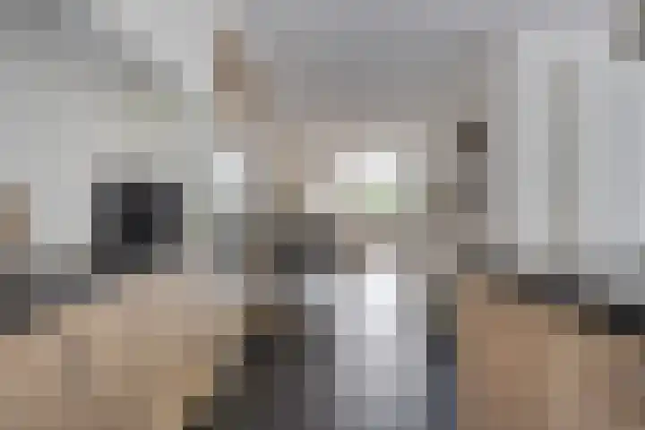 Biesbongerd 24 Kesteren thumbnail 13