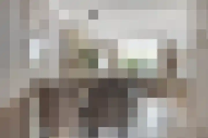 Biesbongerd 24 Kesteren thumbnail 14