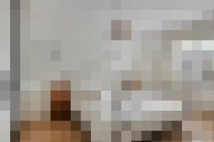 Biesbongerd 24 Kesteren thumbnail 21