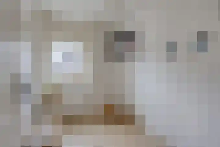 Biesbongerd 24 Kesteren thumbnail 26