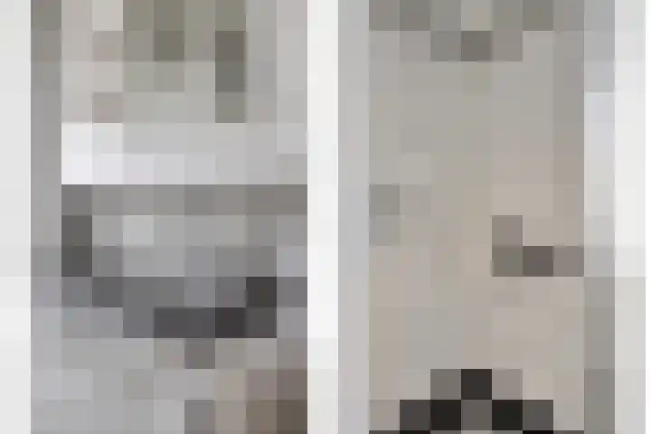 Biesbongerd 24 Kesteren thumbnail 29
