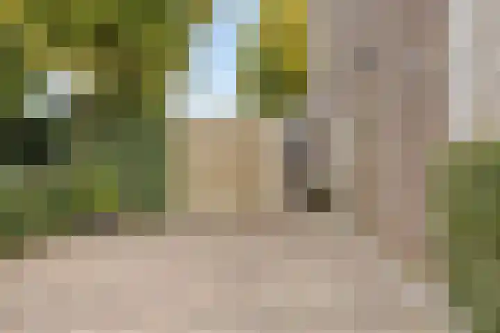 Biesbongerd 24 Kesteren thumbnail 34