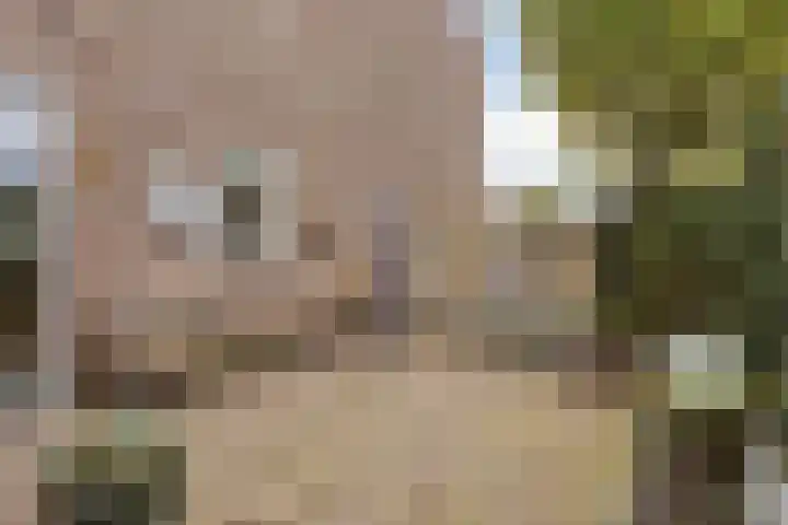 Biesbongerd 24 Kesteren thumbnail 35