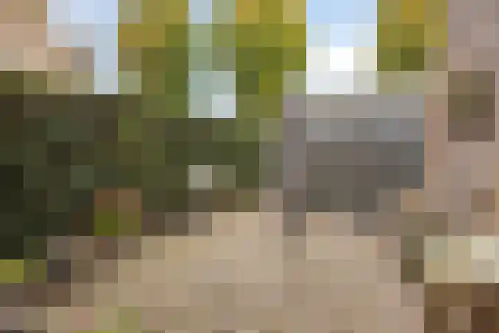 Biesbongerd 24 Kesteren thumbnail 36