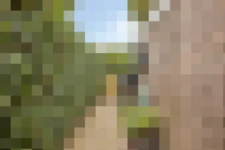 Biesbongerd 24 Kesteren thumbnail 37