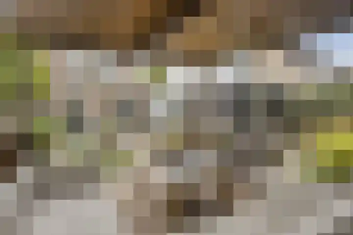 Biesbongerd 24 Kesteren thumbnail 39