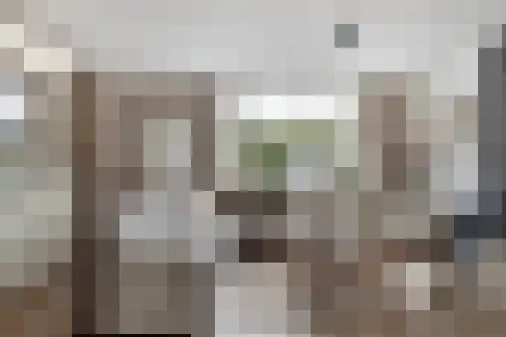 Biesbongerd 24 Kesteren thumbnail 4