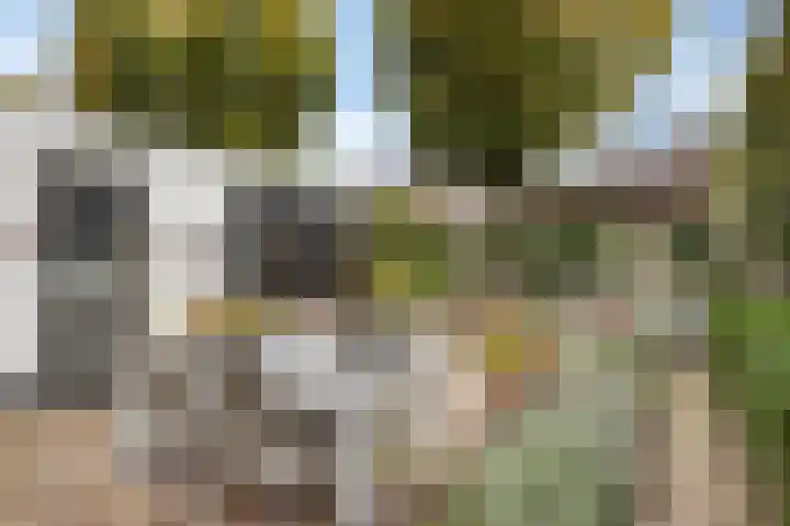 Biesbongerd 24 Kesteren thumbnail 40