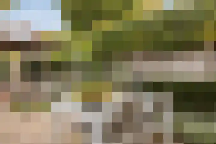 Biesbongerd 24 Kesteren thumbnail 41