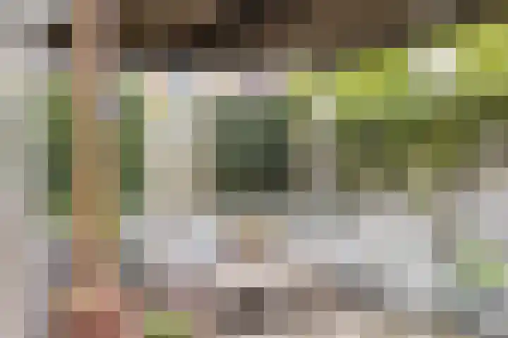 Biesbongerd 24 Kesteren thumbnail 42