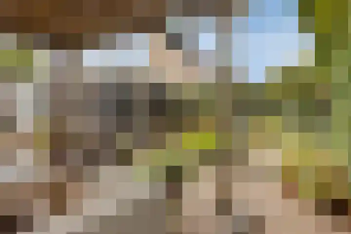 Biesbongerd 24 Kesteren thumbnail 43