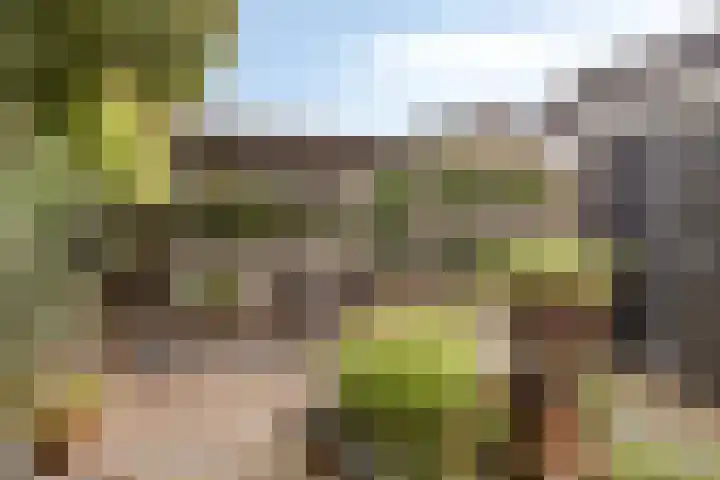 Biesbongerd 24 Kesteren thumbnail 44