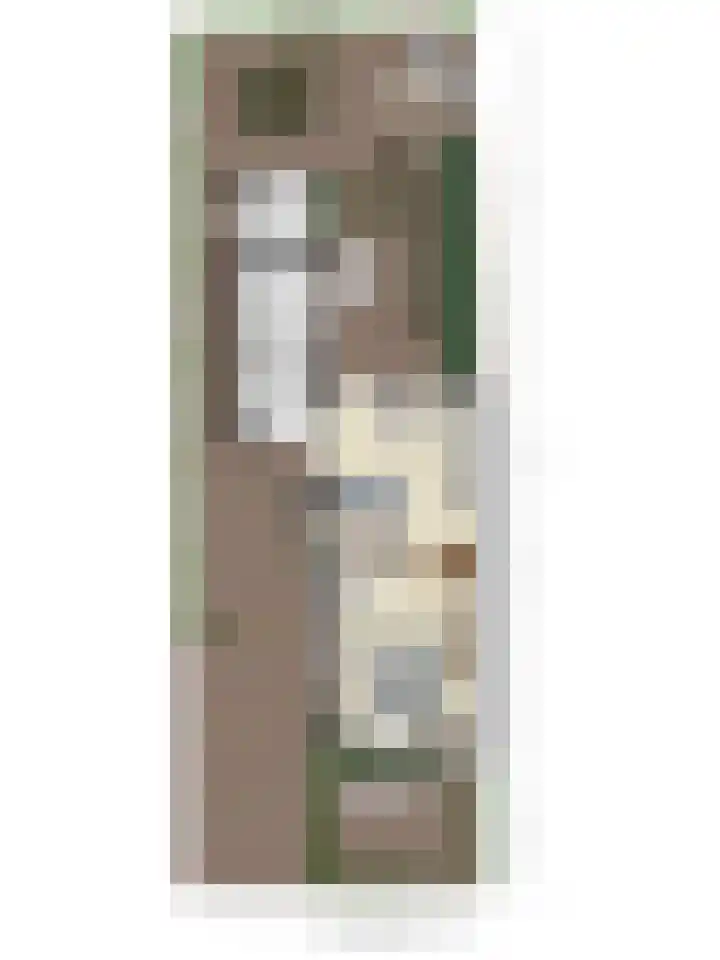 Biesbongerd 24 Kesteren thumbnail 47