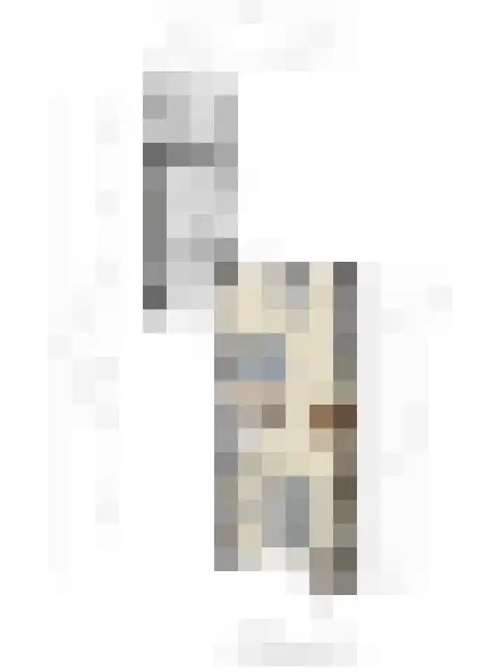 Biesbongerd 24 Kesteren thumbnail 49