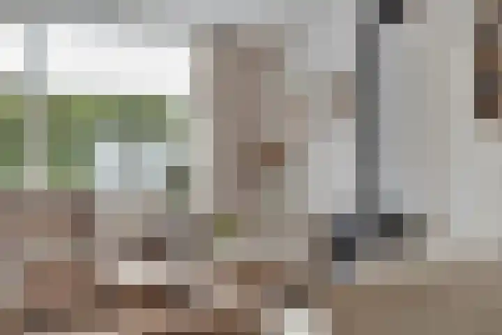 Biesbongerd 24 Kesteren thumbnail 5