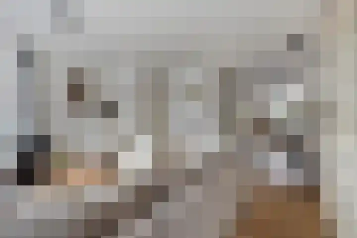 Biesbongerd 24 Kesteren thumbnail 7