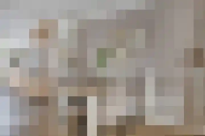Biesbongerd 24 Kesteren thumbnail 8