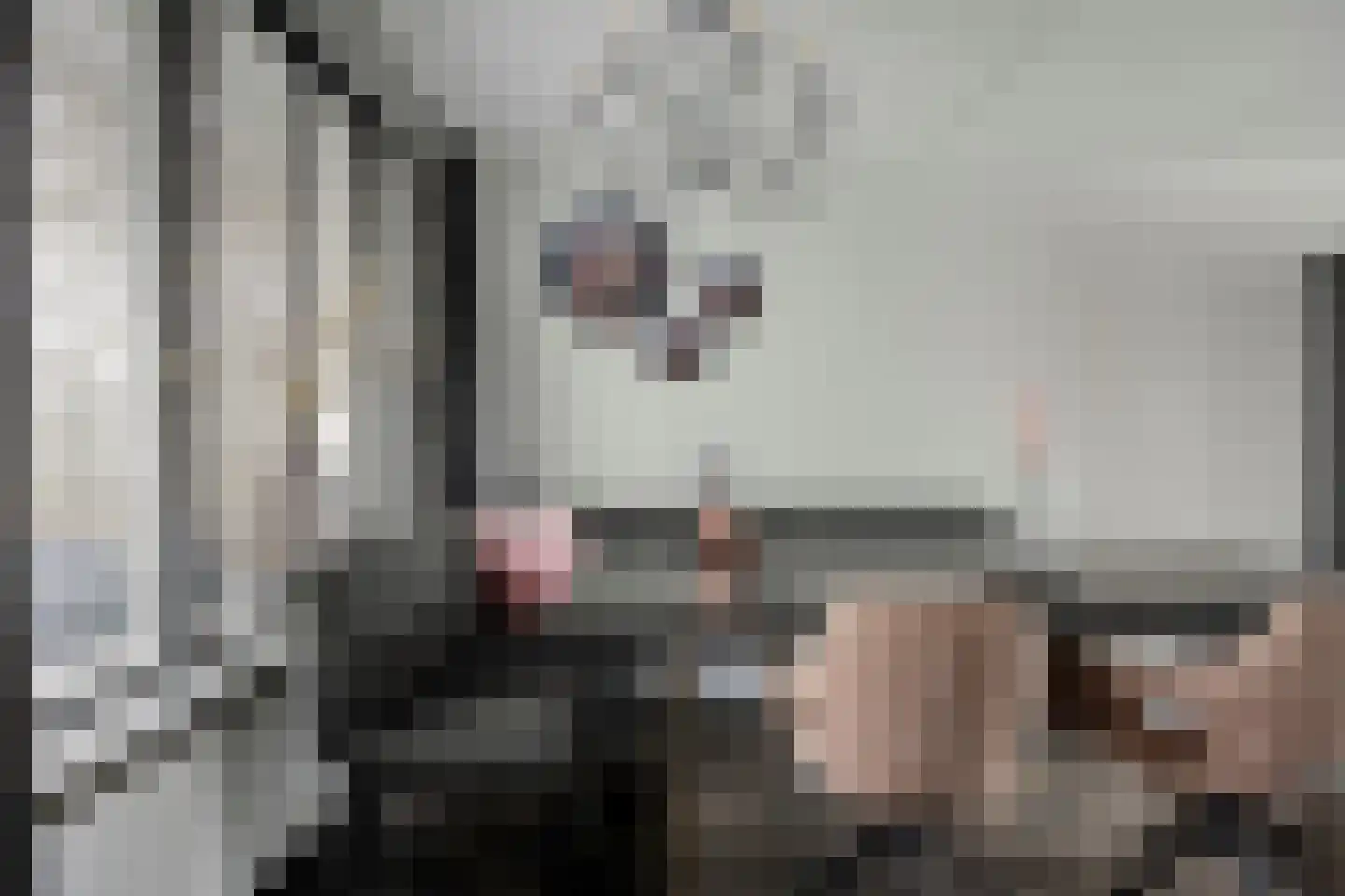 Biesbongerd 40 Kesteren thumbnail 16