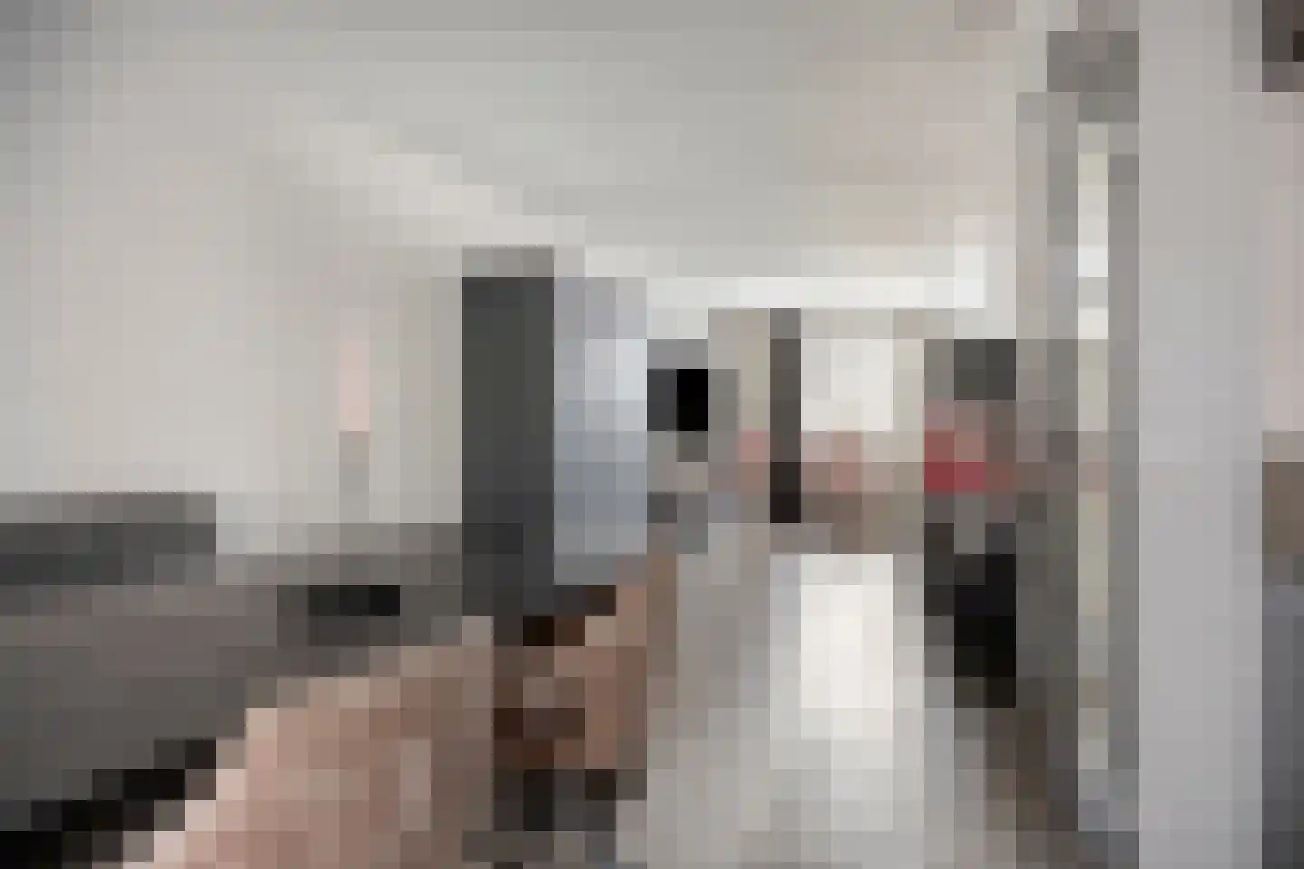 Biesbongerd 40 Kesteren thumbnail 17