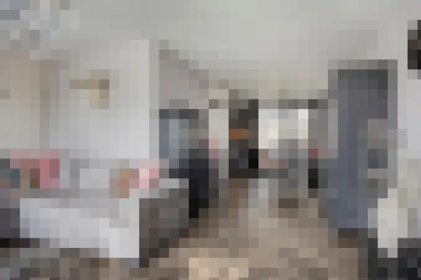 Biesbongerd 40 Kesteren thumbnail 22