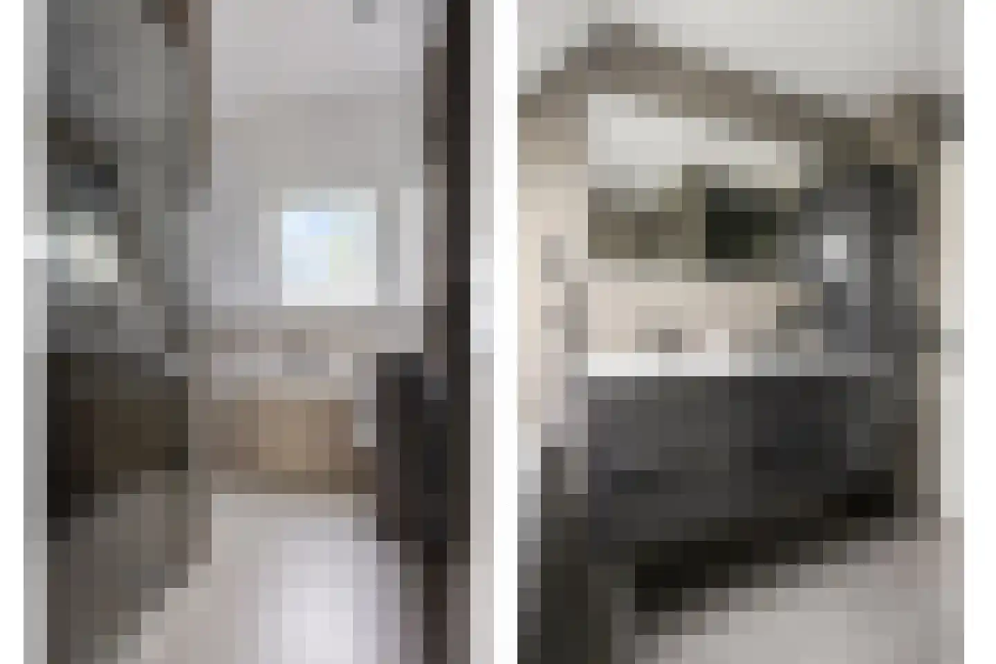 Biesbongerd 40 Kesteren thumbnail 33