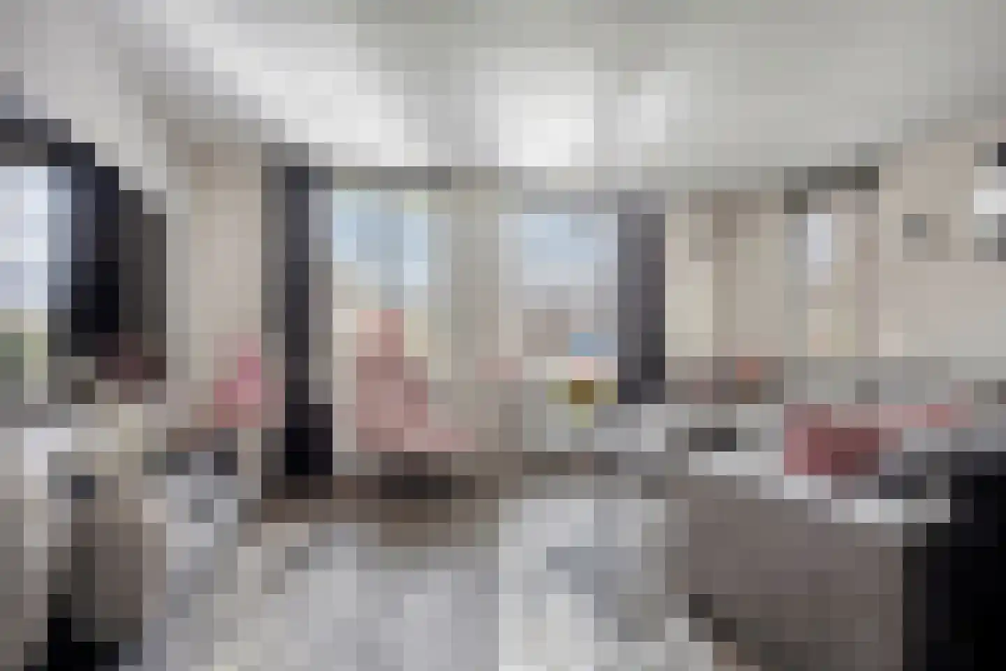 Biesbongerd 40 Kesteren thumbnail 4