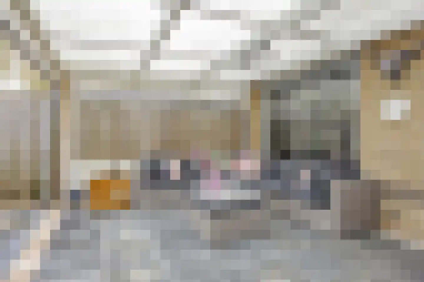 Biesbongerd 40 Kesteren thumbnail 44