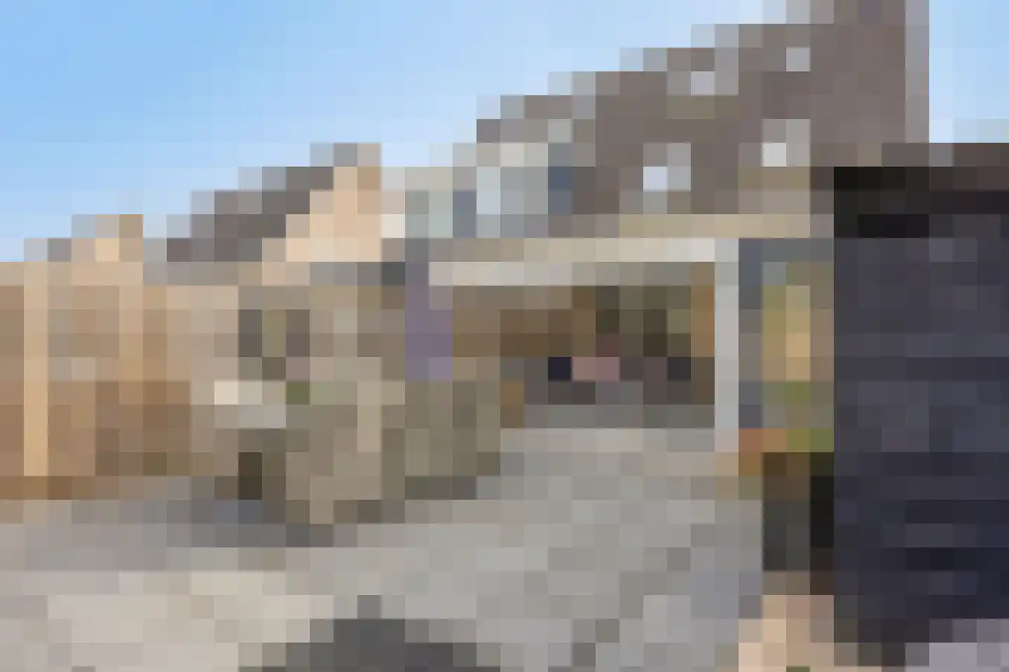 Biesbongerd 40 Kesteren thumbnail 49