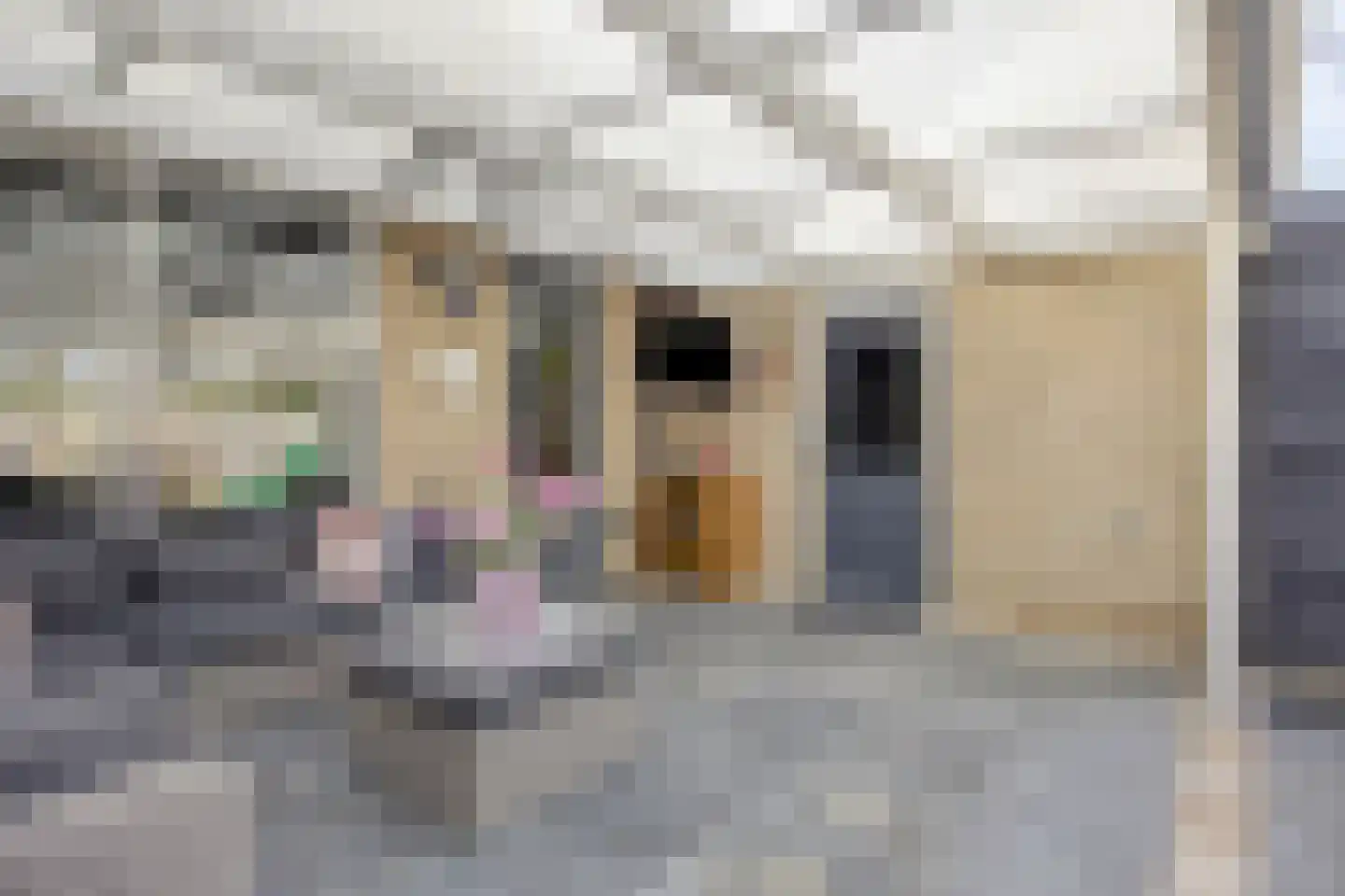 Biesbongerd 40 Kesteren thumbnail 50