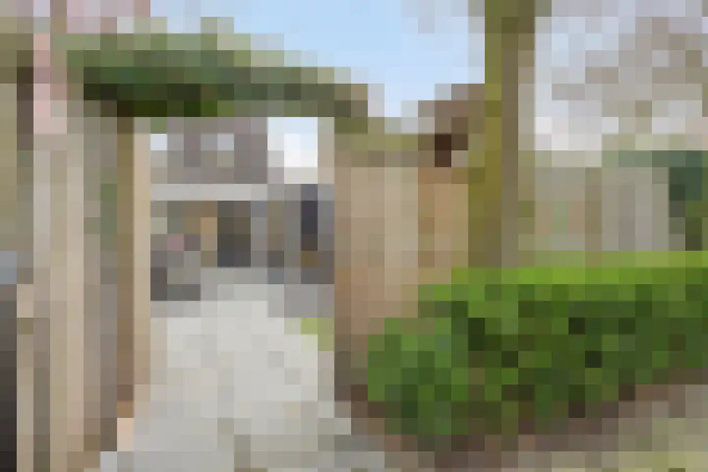 Biesbongerd 40 Kesteren thumbnail 52