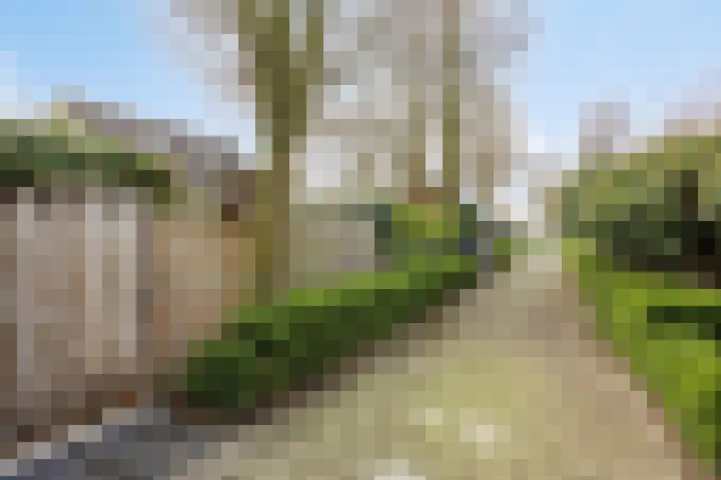 Biesbongerd 40 Kesteren thumbnail 53
