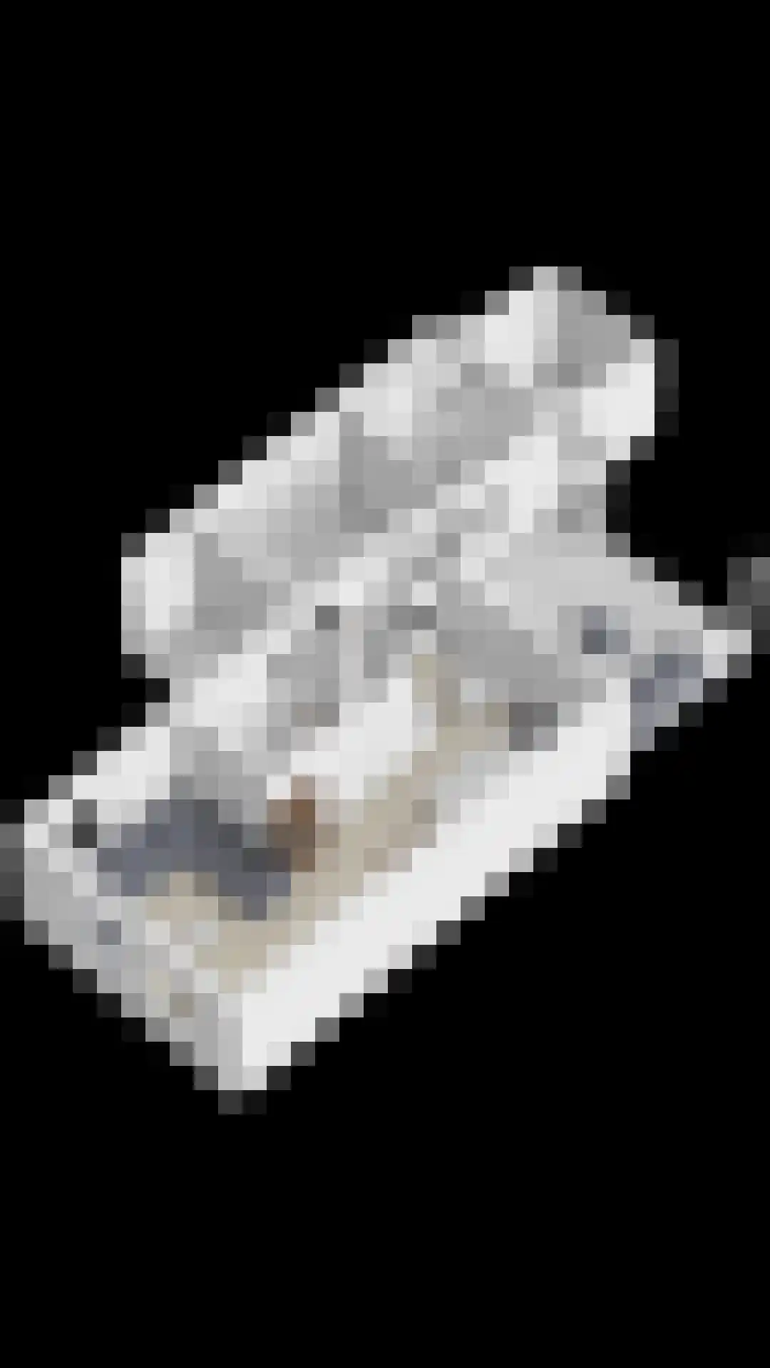 Biesbongerd 40 Kesteren thumbnail 62