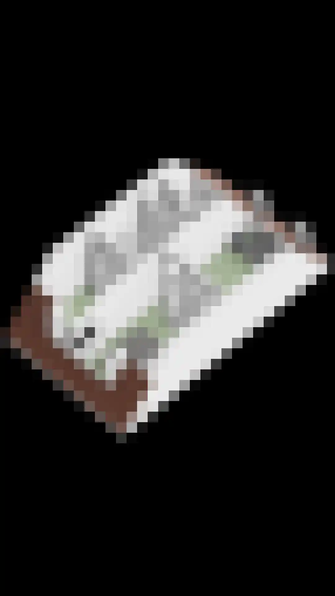 Biesbongerd 40 Kesteren thumbnail 64