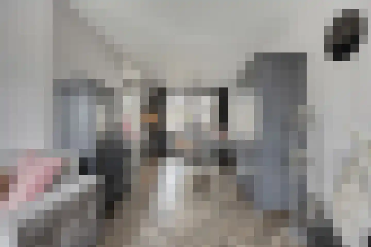 Biesbongerd 40 Kesteren thumbnail 7