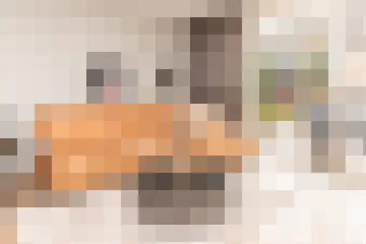 Biesbongerd 51 Kesteren thumbnail 11