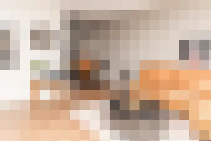 Biesbongerd 51 Kesteren thumbnail 13