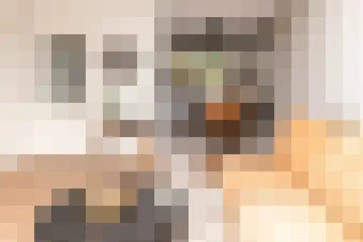 Biesbongerd 51 Kesteren thumbnail 14