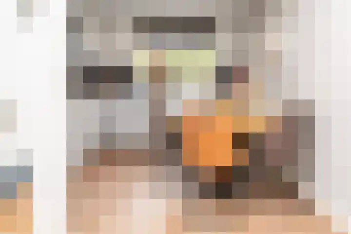 Biesbongerd 51 Kesteren thumbnail 16