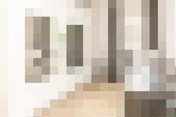 Biesbongerd 51 Kesteren thumbnail 24